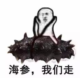 有这样一个盒子,打开后居然可以足不出户,就能吃遍世界各地名优海鲜
