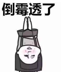 圣鼎郑州海马