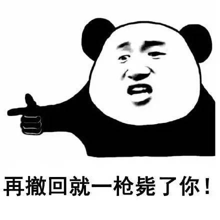 搞笑表情包送给那些爱撤回消息的人
