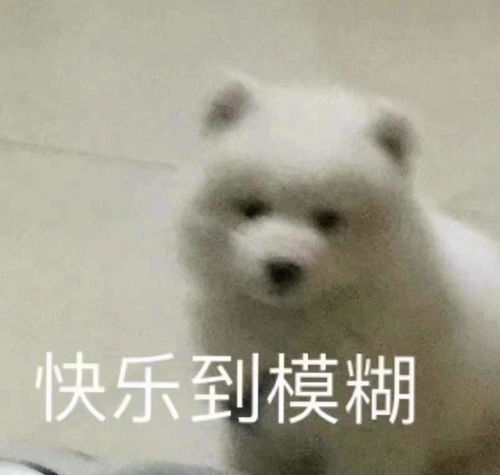 吵翻了桂阳现在的城中心到底在哪