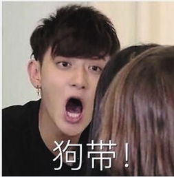 黄子韬表情包太魔性狗带已红出天际