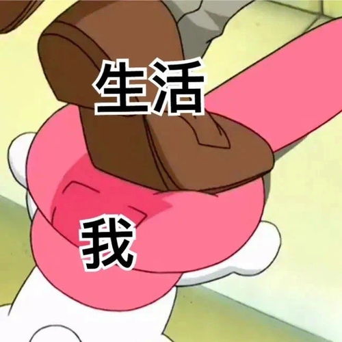 美乐蒂表情包阴阳怪气第一名