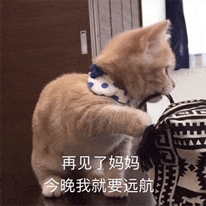 沙雕表情包我已经猜透你的小心思