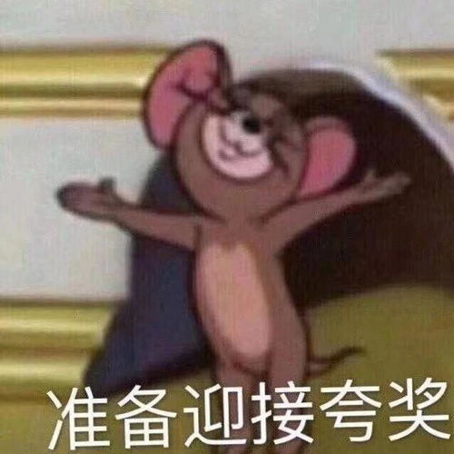 睡啥睡起来嗨表情包猫和老鼠