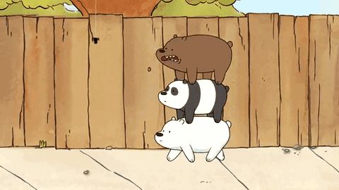 什么是大学预科班