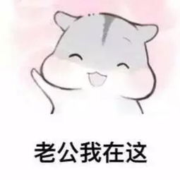 跟老公要钱的套路表情包老公,可以给我1块钱吗我想买小布丁
