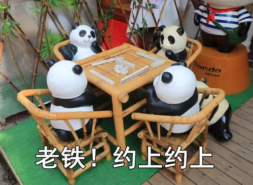 上饶一名微信群主被抓了弋阳人都看看他都干了些啥