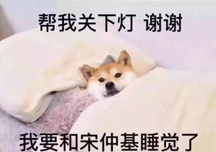 紧急预报临清未来15天10场雨雨雨雨
