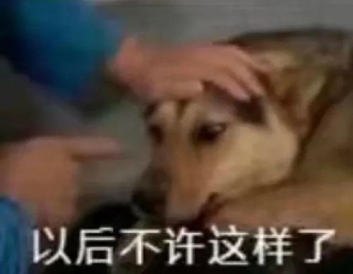 出来逛街表情包逛街