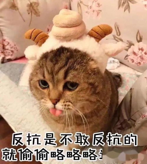 有奖互动丨假期快结束了,来看看爸妈的花式叫醒服务