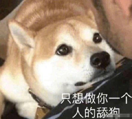 各种问号表情包原图舔狗