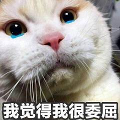 群聊斗图表情包委屈