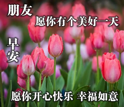 早上好问候语图片大全,最美早安祝福语唯美表情