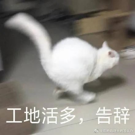 玩转知识分享自媒体