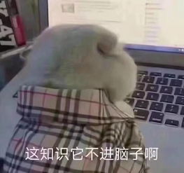 这6道湖南小学入学测试题,让成年的我流下学渣的泪水