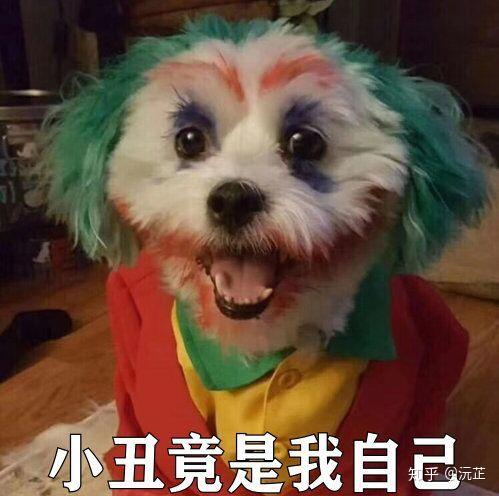 原来小丑竟是我自己表情包大赏,禁止套娃