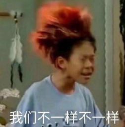 最懂柯文哲的男人王世坚说出了柯流和韩流的区别你认同吗
