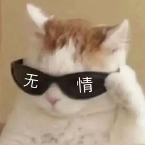 什么十一期间可能还有台风要来