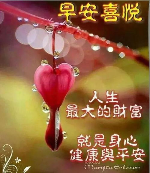 早上好问候语图片早安祝福语漂亮图片