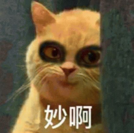 想惹毛一个人,你就玩儿命学他说话