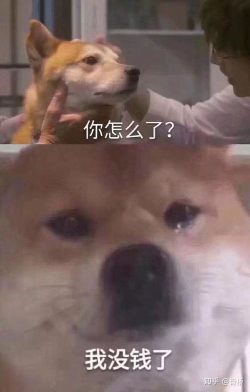 你莫说了表情包红包