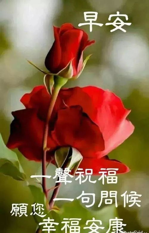 初冬清晨很漂亮的早上好动画表情图片带字,美美的早上好短信问候祝福语