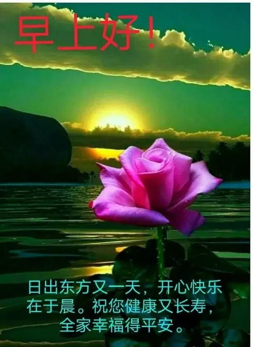 微信早上好表情包问候语