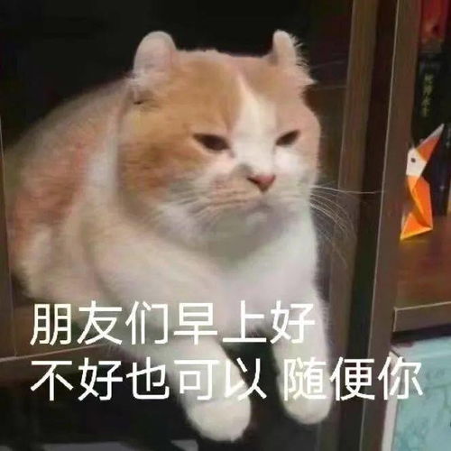 有一说一,我就是馋你身子丨第105期表情包