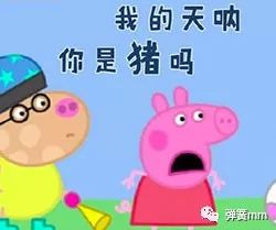 猪醒了么的表情表情包
