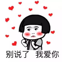 白银合瑞斯柯达