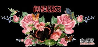 通缉你别怨我