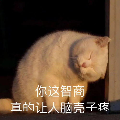 表情包动图有空一起拉屎