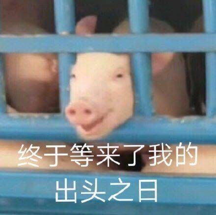不用谢表情包动图大全飞哥