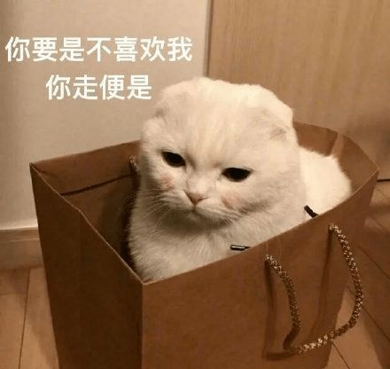 沙雕表情一个人排位太简单了带上这个吧