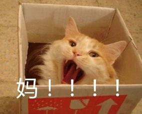 年后把孩子从奶奶家接回来,亲妈一见直接哭了...