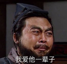 最后一天了,还不出来营业