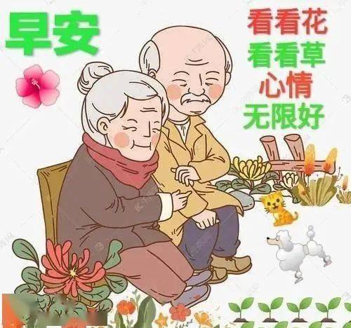 8张最新中老年人早上好温馨问候语图片带字,免打字早安祝福语表情图片带字精选