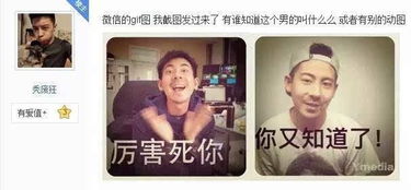 没想到,厉害死你表情包会坐在我对面翻白眼