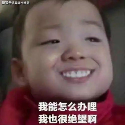 窦骁扑街网文要凉黄磊自吹自擂女明星骚操作