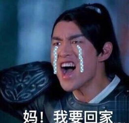 因楚乔传被妈妈嫌弃不让回家的他,如今领盒饭了,遭到了妈妈的各种嫌弃