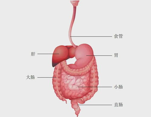 年年体检都正常,突然查出食管癌警惕这6种症状
