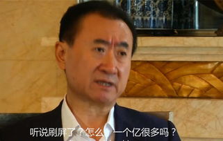 王健林所言1个亿,屌丝们切莫对号入座