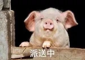 喂猪吃手表情包跛脚