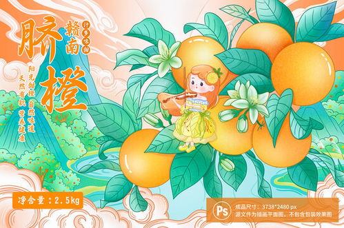 石榴包装插画设计模板下载包装设计素材下的食品包装设计模板