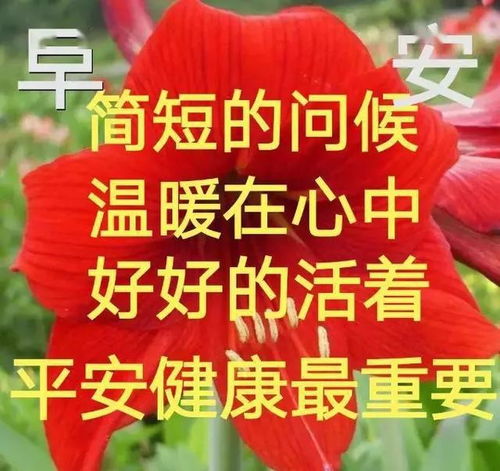 早上好动图表情2020年早上好动图表情包微信