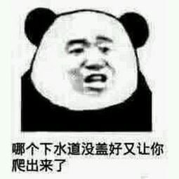 套路撩妹表情包,网友别这样,人家会害羞的