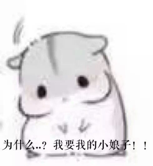 早上好表情包 小仓鼠仓鼠