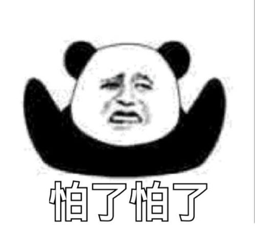 社交软件网聊几天约见比较好