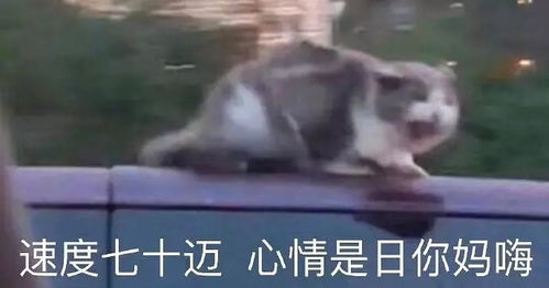 隔壁看到的路透社关于刘强东强奸案的报道,呕