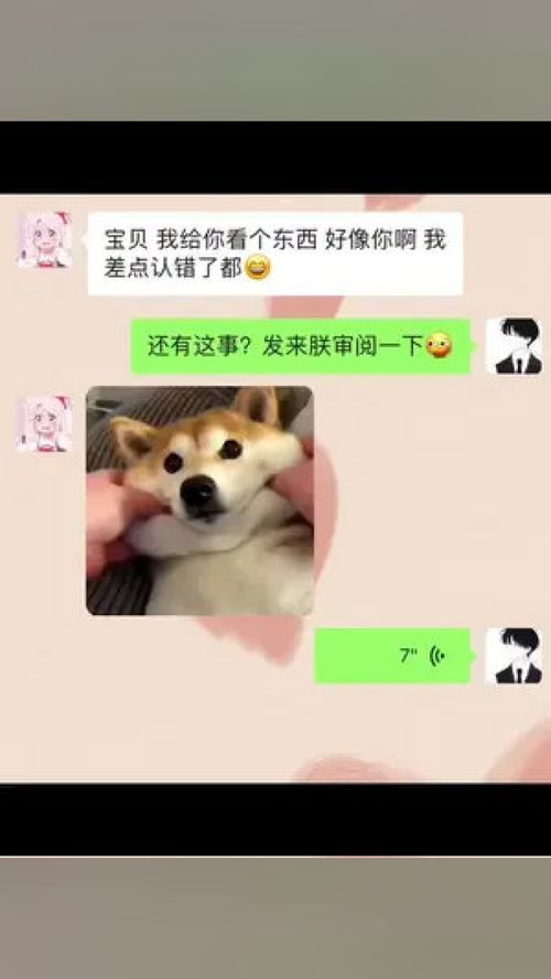 表情包每一帧都是表情包情侣套路表情包艾特你想艾特的人